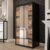 Topeka 2 Mirrored 100cm Wardrobe With 2 Sliding Doors In Dark Oak